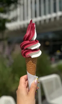Točená zmrzlina – ČERNÝ RYBÍZ & ŘECKÝ JOGURT