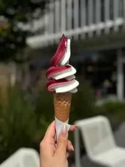Točená zmrzlina – BORŮVKA & ŘECKÝ JOGURT
