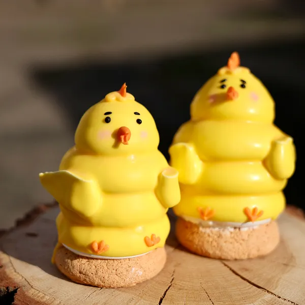 Fotografie – Kuřátko-Indiánek (1/1)